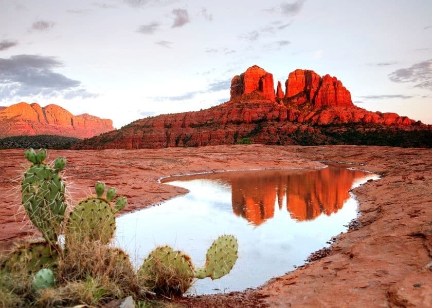 A tranquil desert scene featuring red rock formations mirrored in a small pool of water, with a cactus in the foreground.